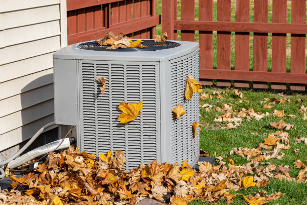 Best Central Air Repair  in Palacios, TX